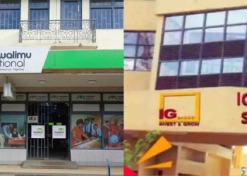 Beginner’s Guide To Joining And Maximising Benefits In Saccos