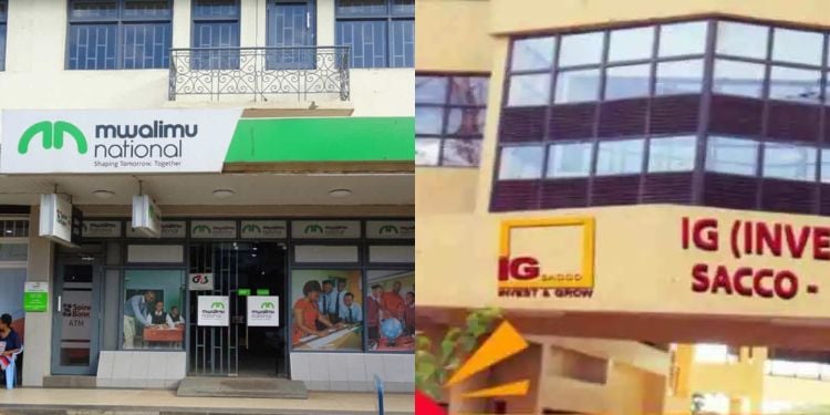 How To Withdraw Membership From A Sacco