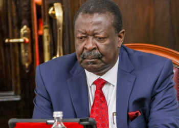 Mudavadi Flags Myanmar, Cambodia, Russia As High-Risk Countries