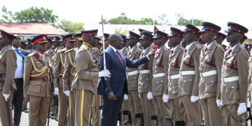 Ruto Awards Uhuru'S Sister, Chebukati'S Widow And Hundreds Of Other Kenyans