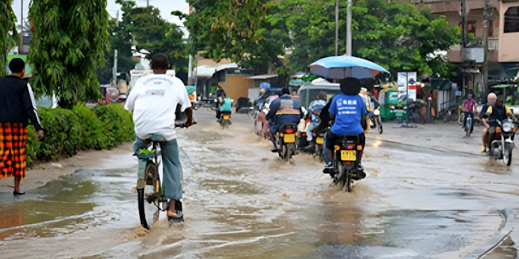 Kenya Met Lists Regions To Receive Rainfall In Next Seven Days Kenya Met Lists Regions To Receive Rainfall In Next Seven Days
