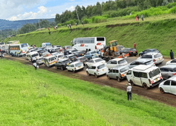 Research Shows How Toilets Can Boost Road Safety